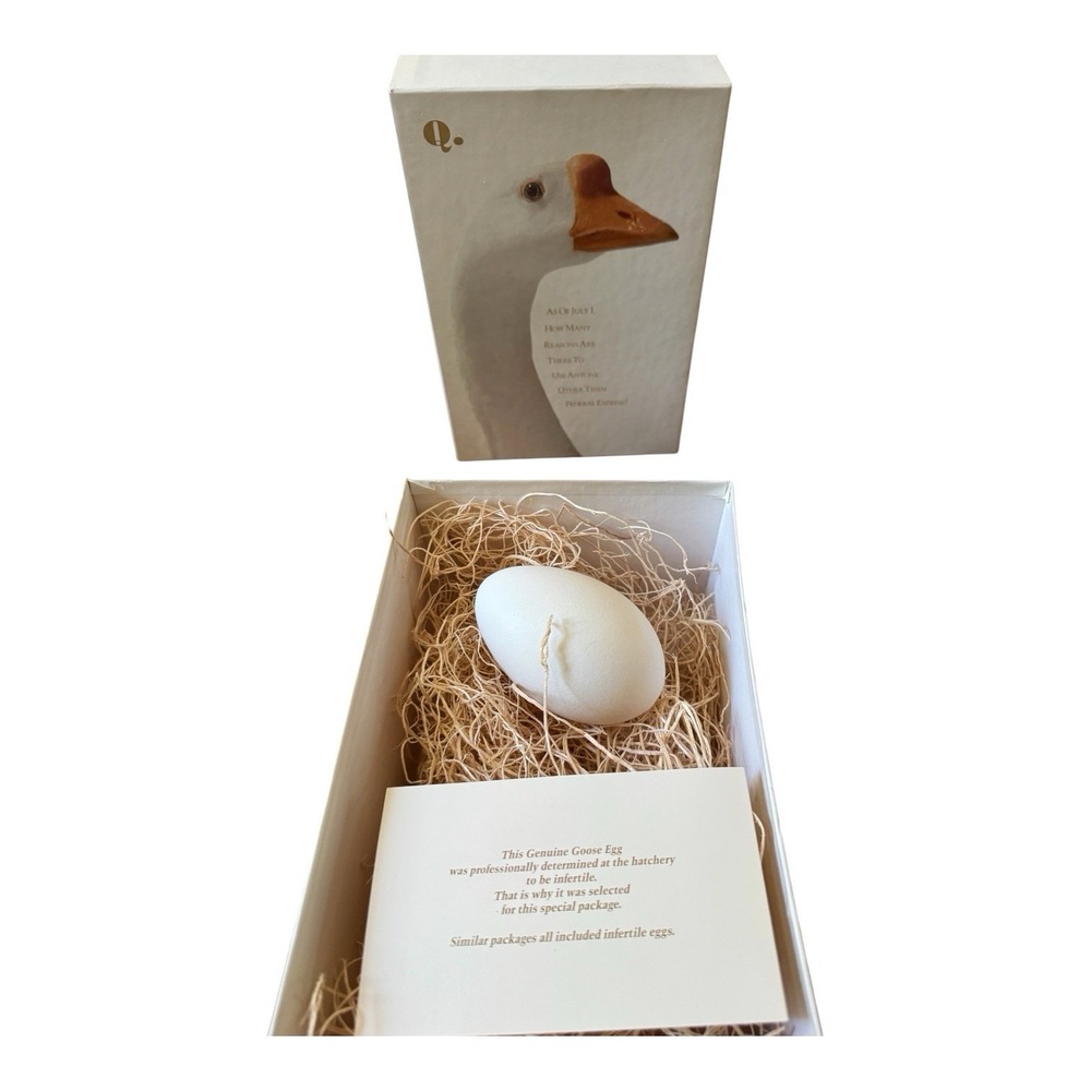 Vintage Federal Express FedEx Promo Genuine Goose Egg Advertising Box Shipping